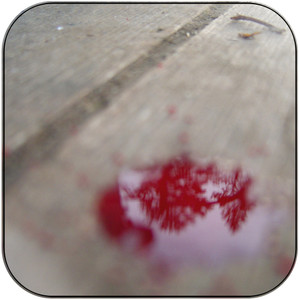 Hypothermia Veins-2 Album Cover Sticker Hypothermia Veins-2 Album Cover Sticker