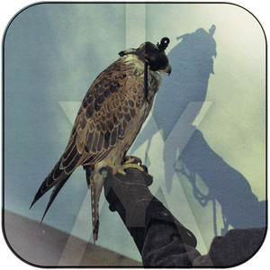 Iceage Youre Nothing Album Cover Sticker