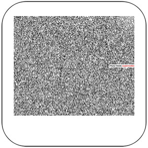Ryoji Ikeda Supercodex Album Cover Sticker Ryoji Ikeda Supercodex Album Cover Sticker