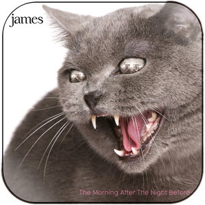 James The Morning After The Night Before Album Cover Sticker