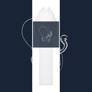 Sigur Ros Gtis Byrjun 1 Album Cover T-Shirt White Sigur Ros Gtis Byrjun 1 Album Cover T-Shirt White