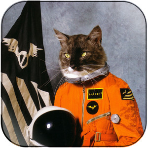 Klaxons Surfing The Void Album Cover Sticker Klaxons Surfing The Void Album Cover Sticker