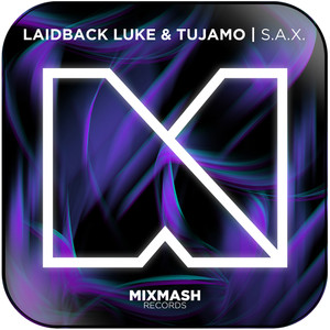 Laidback Luke Sax Original Mix-1 Album Cover Sticker Laidback Luke Sax Original Mix-1 Album Cover Sticker