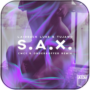 Laidback Luke Sax Original Mix-2 Album Cover Sticker Laidback Luke Sax Original Mix-2 Album Cover Sticker