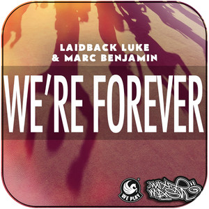 Laidback Luke Were Forever Album Cover Sticker Laidback Luke Were Forever Album Cover Sticker
