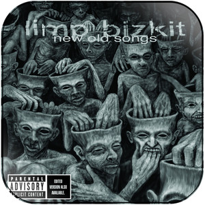 Limp Bizkit New Old Songs-1 Album Cover Sticker Limp Bizkit New Old Songs-1 Album Cover Sticker