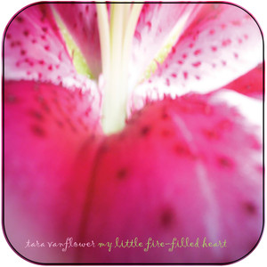 Tara Vanflower My Little Fire Filled Heart Album Cover Sticker