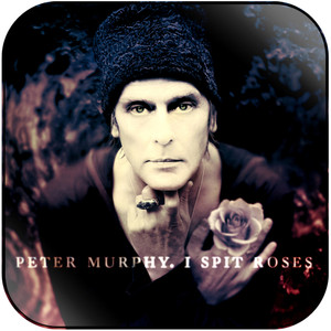 Peter Murphy I Spit Roses Album Cover Sticker