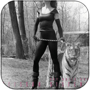 Scissor Sisters Any Which Way Remixes Album Cover Sticker