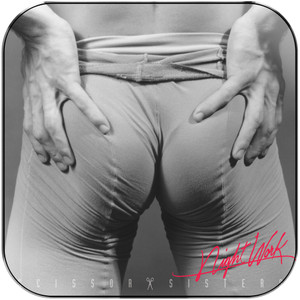 Scissor Sisters Night Work Album Cover Sticker