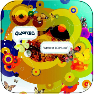 Quantic Apricot Morning Album Cover Sticker Album Cover Sticker Quantic Apricot Morning Album Cover Sticker Album Cover Sticker