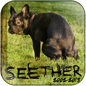 Seether Seether 2002 2013 Album Cover Sticker Seether Seether 2002 2013 Album Cover Sticker