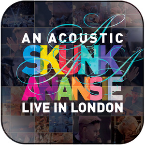 Skunk Anansie An Acoustic Skunk Anansie Live In London Album Cover Sticker Skunk Anansie An Acoustic Skunk Anansie Live In London Album Cover Sticker