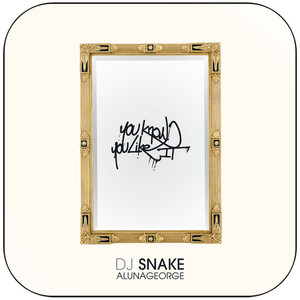DJ Snake You Know You Like It Album Cover Sticker DJ Snake You Know You Like It Album Cover Sticker
