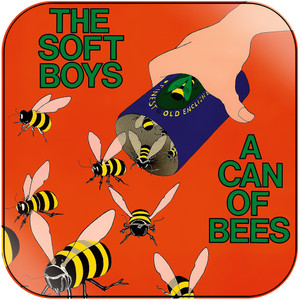 The Soft Boys A Can Of Bees Album Cover Sticker The Soft Boys A Can Of Bees Album Cover Sticker