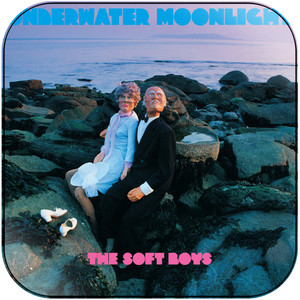 The Soft Boys Underwater Moonlight Album Cover Sticker The Soft Boys Underwater Moonlight Album Cover Sticker
