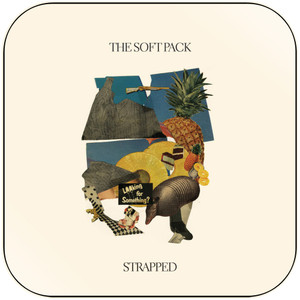 The Soft Pack Strapped Album Cover Sticker