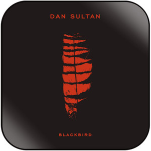 Dan Sultan Blackbird Album Cover Sticker Dan Sultan Blackbird Album Cover Sticker