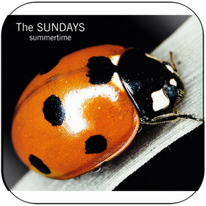 The Sundays Summertime-1 Album Cover Sticker The Sundays Summertime-1 Album Cover Sticker