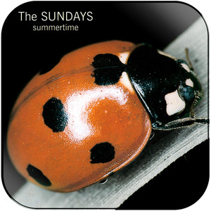 The Sundays Summertime-2 Album Cover Sticker The Sundays Summertime-2 Album Cover Sticker