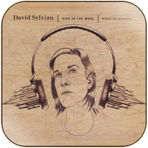 David Sylvian Died In The Wool Manafon Variations Album Cover Sticker David Sylvian Died In The Wool Manafon Variations Album Cover Sticker