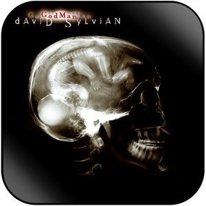 David Sylvian Godman Album Cover Sticker David Sylvian Godman Album Cover Sticker