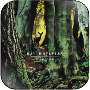 David Sylvian Manafon Album Cover Sticker David Sylvian Manafon Album Cover Sticker