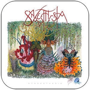 Synaesthesia Synaesthesia Album Cover Sticker