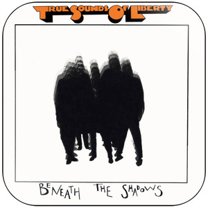 TSOL Beneath The Shadows Album Cover Sticker TSOL Beneath The Shadows Album Cover Sticker