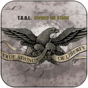 TSOL Divided We Stand Album Cover Sticker TSOL Divided We Stand Album Cover Sticker