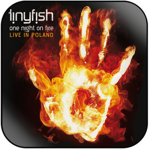 Tinyfish One Night On Fire Live In Poland Album Cover Sticker