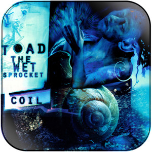 Toad the Wet Sprocket Coil Album Cover Sticker Toad the Wet Sprocket Coil Album Cover Sticker