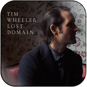 Tim Wheeler Lost Domain Album Cover Sticker