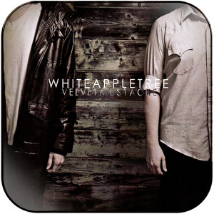 White Apple Tree Velvet Mustache Album Cover Sticker White Apple Tree Velvet Mustache Album Cover Sticker