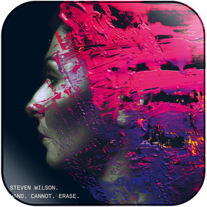 Steven Wilson Hand Cannot Erase-1 Album Cover Sticker