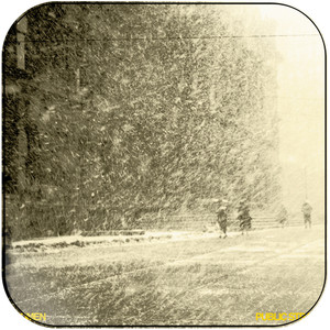 Women Public Strain Album Cover Sticker Women Public Strain Album Cover Sticker