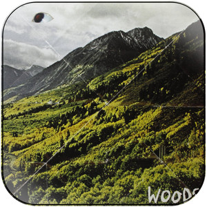 Woods Songs Of Shame Album Cover Sticker