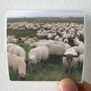 SuicideboyS Grey Sheep Album Cover Sticker