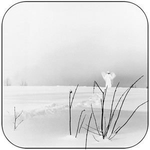 Timo Rautiainen and Trio Niskalaukaus in frostigen tlern Album Cover Sticker Album Cover Sticker
