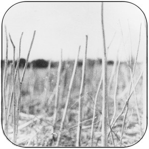 Recondite on acid Album Cover Sticker Album Cover Sticker Recondite on acid Album Cover Sticker Album Cover Sticker