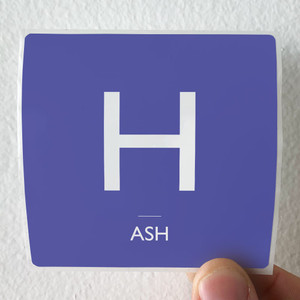 Ash-Space-Shot-Album-Cover-Sticker Ash-Space-Shot-Album-Cover-Sticker