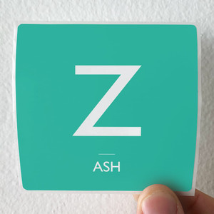 Ash-There-Is-Hope-Again-Album-Cover-Sticker Ash-There-Is-Hope-Again-Album-Cover-Sticker
