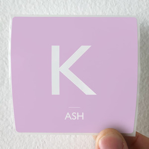 Ash-Song-Of-Your-Desire-Album-Cover-Sticker Ash-Song-Of-Your-Desire-Album-Cover-Sticker