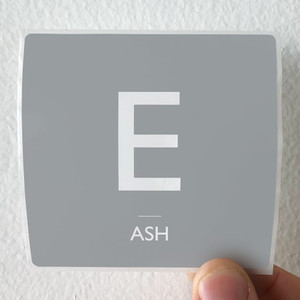 Ash-The-Dead-Disciples-Album-Cover-Sticker
