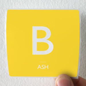 Ash-Joy-Kicks-Darkness-Album-Cover-Sticker Ash-Joy-Kicks-Darkness-Album-Cover-Sticker