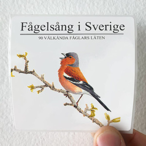 Benny-Andersson-Fgelsng-I-Sverige-Album-Cover-Sticker