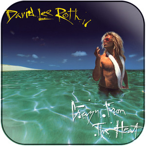 David Lee Roth crazy from the heat Album Cover Sticker Album Cover Sticker