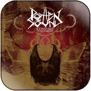 Rotten Sound consume to contaminate Album Cover Sticker Album Cover Sticker Rotten Sound consume to contaminate Album Cover Sticker Album Cover Sticker