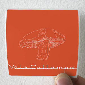 Cafe-Tacvba-Vale-Callampa-Album-Cover-Sticker Cafe-Tacvba-Vale-Callampa-Album-Cover-Sticker
