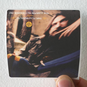 Chris-Robinson-and-The-New-Earth-Mud-This-Magnificent-Distance-Album-Cover-Sticker